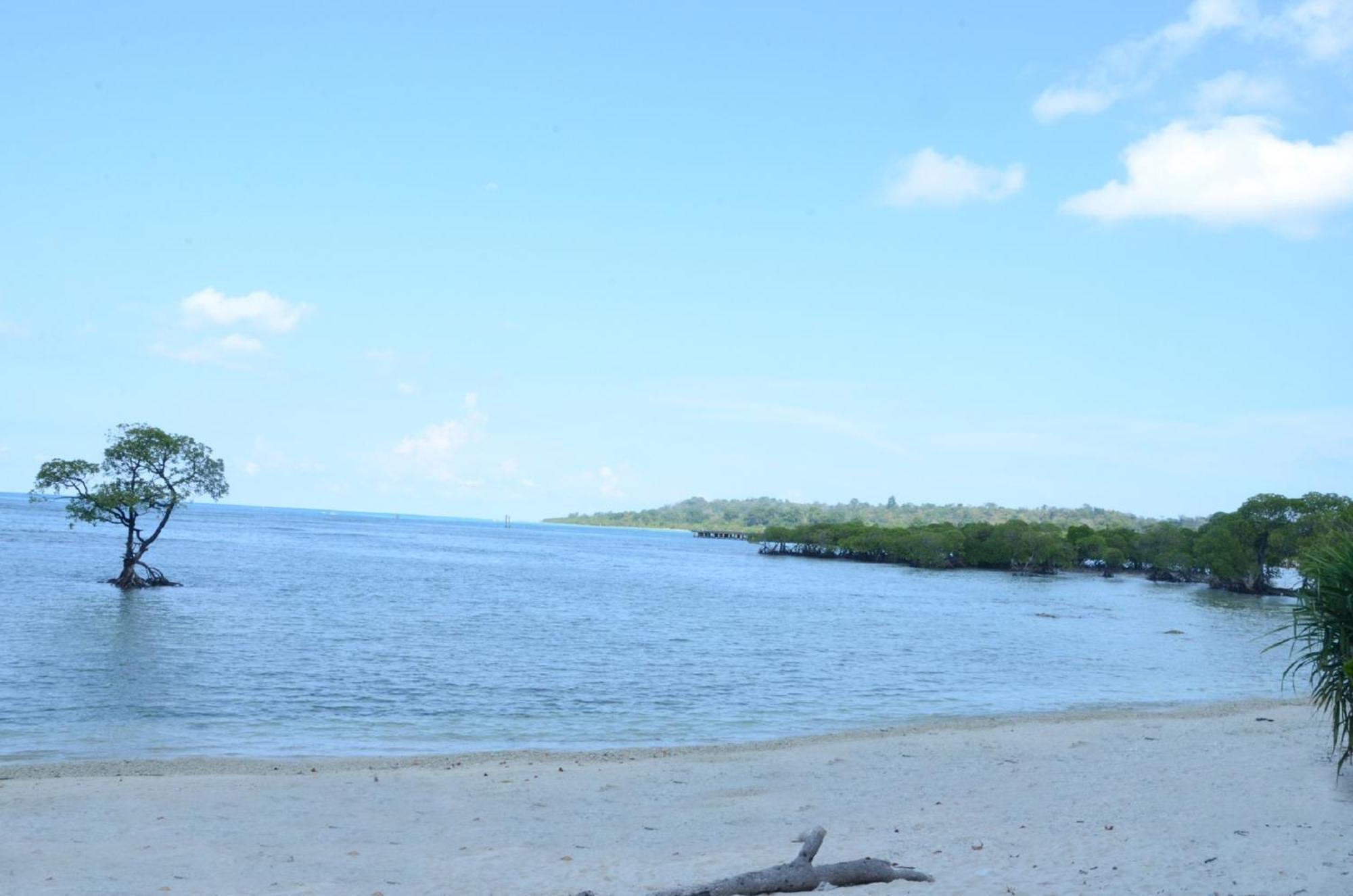 Coconhuts Beach Resort Lakshmanpur Екстер'єр фото